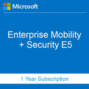 Endpoint Mobility