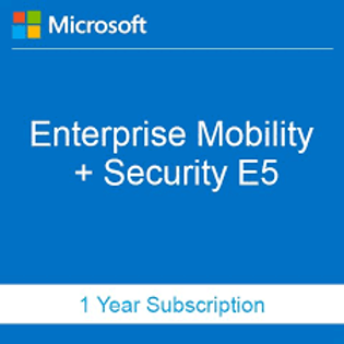 Endpoint Mobility