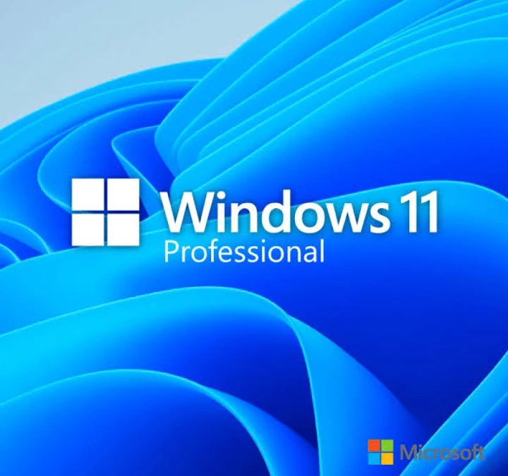 Windows 11 professional