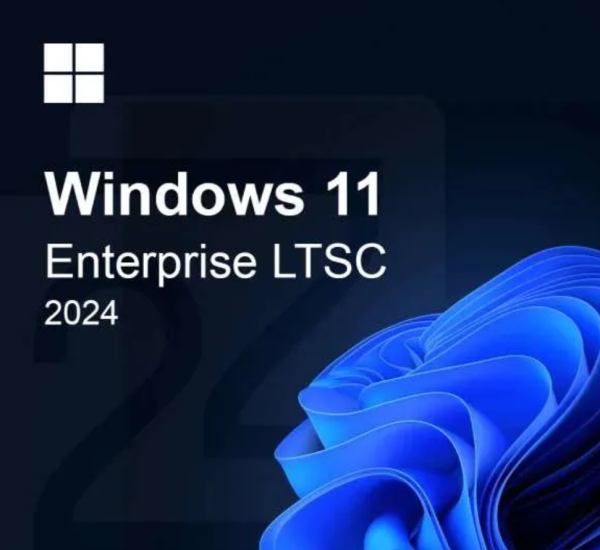 Windows 11 Enterprise LTSC 2024