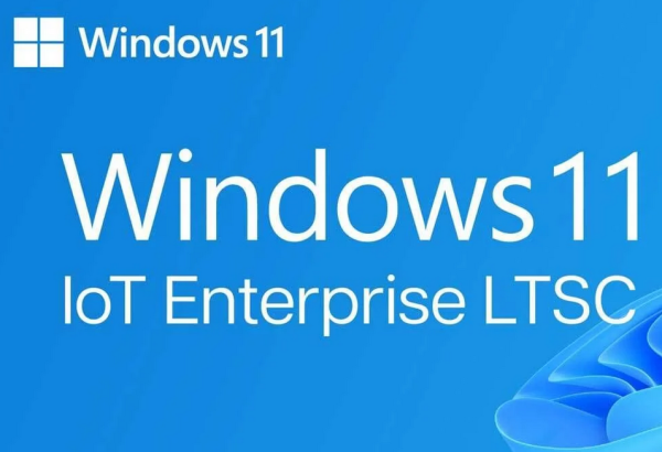 Windows 11 IoT