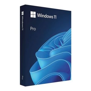 Windows 11 Pro (ONLY $130)