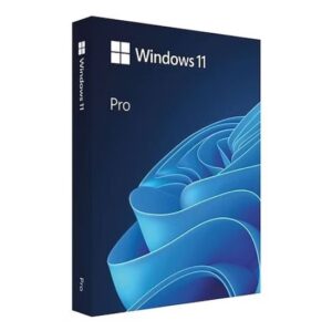 Windows 11 Professional (ESD - Electronic Email Delivery)